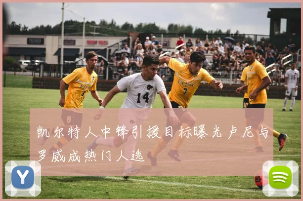 凯尔特人中锋引援目标曝光卢尼与罗威成热门人选