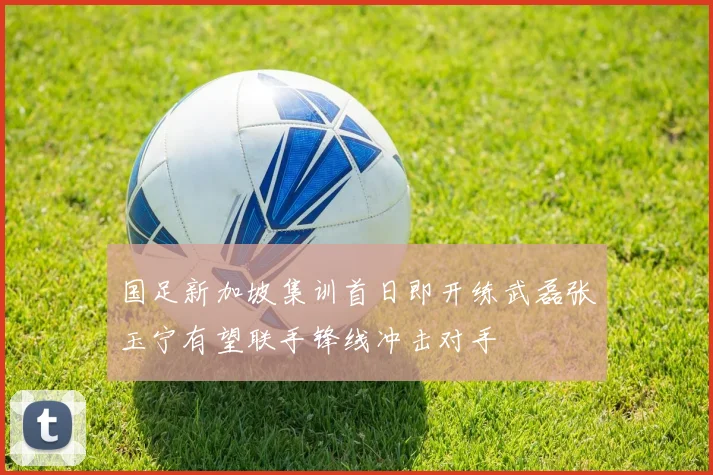 国足新加坡集训首日即开练武磊张玉宁有望联手锋线冲击对手